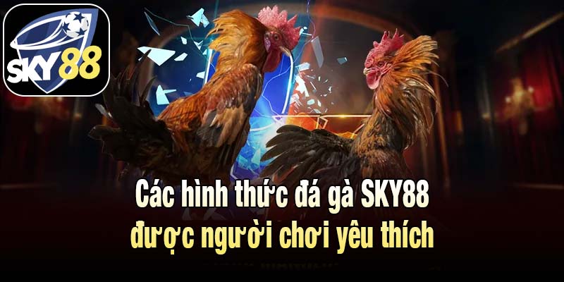 Các hình thức đá gà SKY88 được người chơi yêu thích