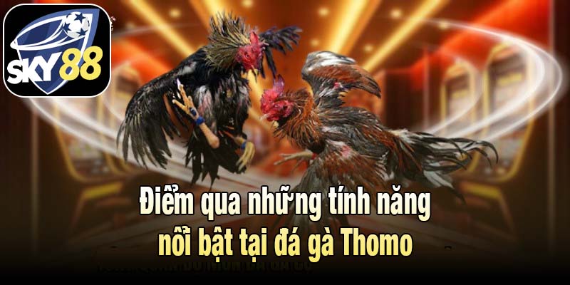 Điểm qua những tính năng nổi bật tại đá gà Thomo