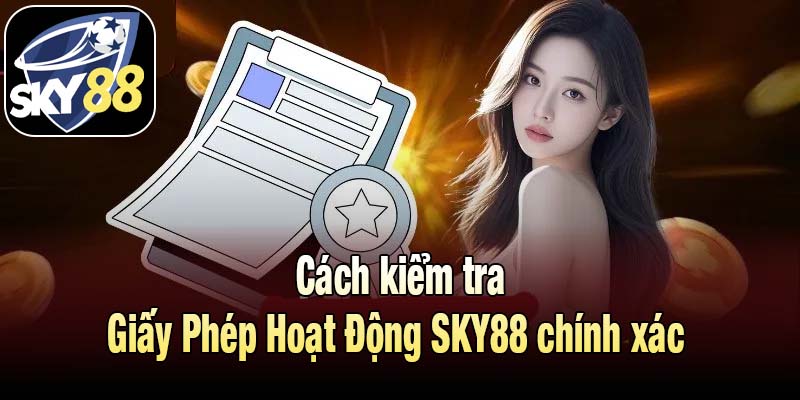 Cách kiểm tra Giấy Phép Hoạt Động SKY88 chính xác 