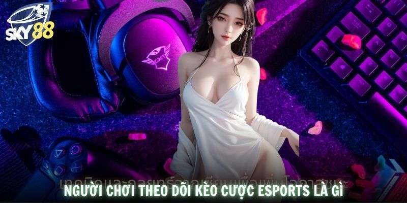 Người chơi theo dõi kèo cược Esports là gì