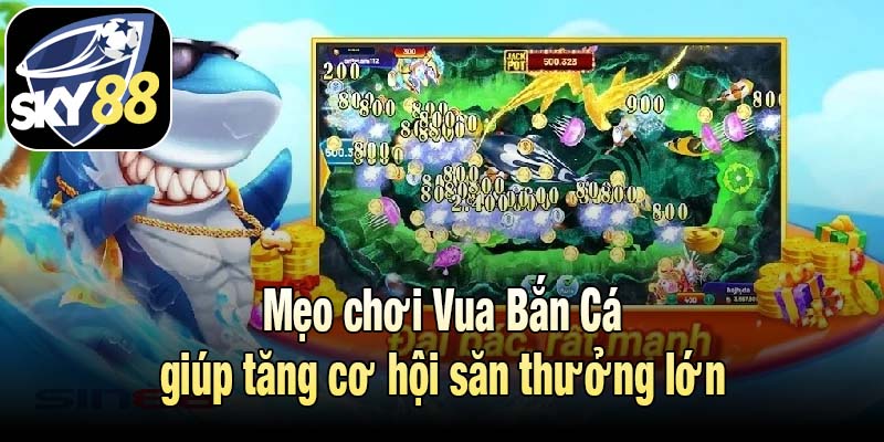 Mẹo chơi Vua Bắn Cá giúp tăng cơ hội săn thưởng lớn